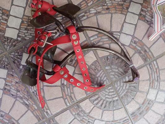 주문 Heavy-Duty Adjustable Wood Pole Climber with Sharp Spikes for 300mm Utility Poles online manufacture