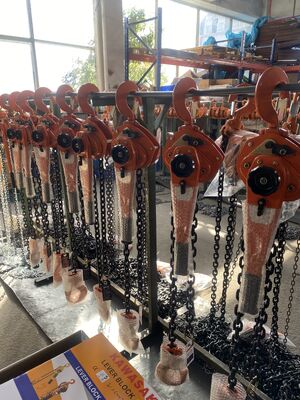 주문 1.5m 수동 레버 체인 호이스트 1톤 용량 산업 리깅용 중량 수동 당기는 리프팅 도구 online manufacture